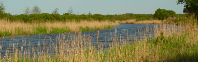 Navigation sur un bras de la Leyre