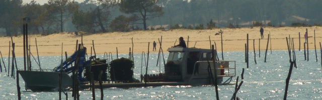 Parc ostr�icole Cap Ferret