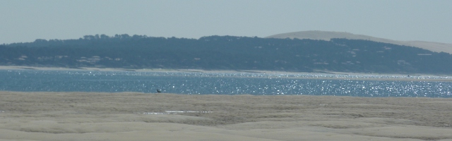 Dune du Pilat en bateau